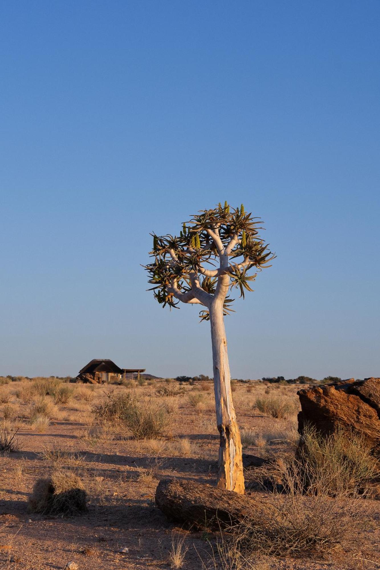 Sandfontein Lodge & Nature Reserve Bagian luar foto
