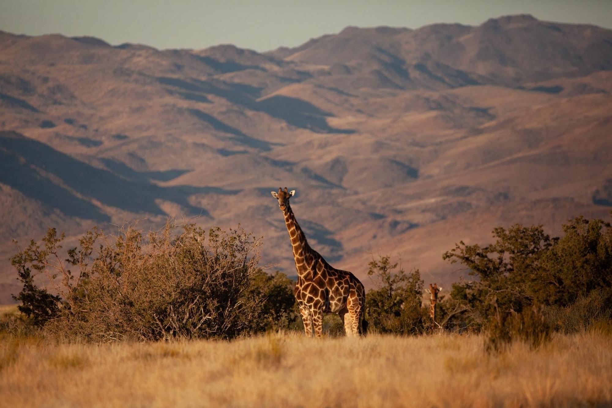 Sandfontein Lodge & Nature Reserve Bagian luar foto