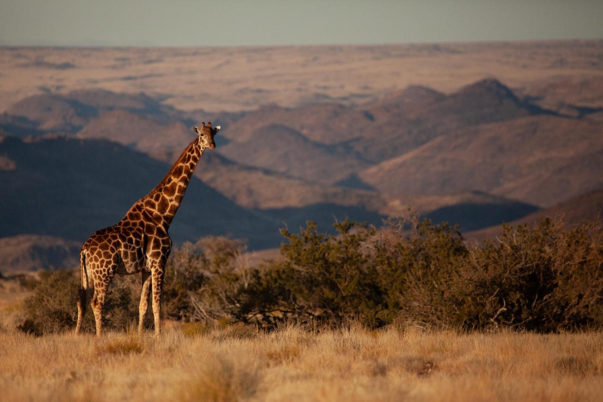 Sandfontein Lodge & Nature Reserve Bagian luar foto