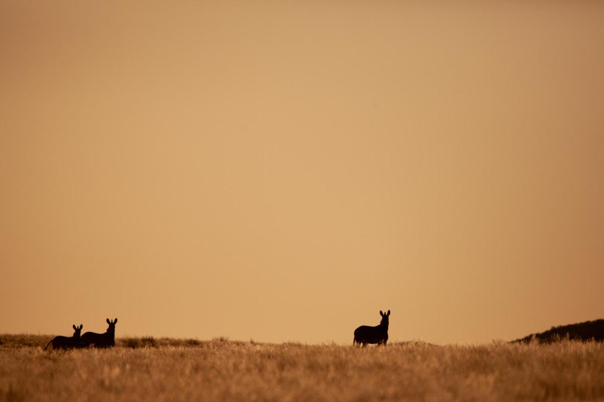 Sandfontein Lodge & Nature Reserve Bagian luar foto